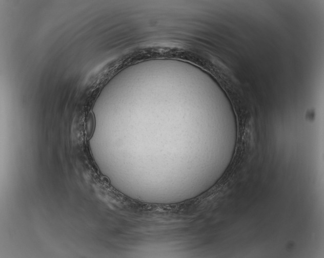 X0000116511014200912231229