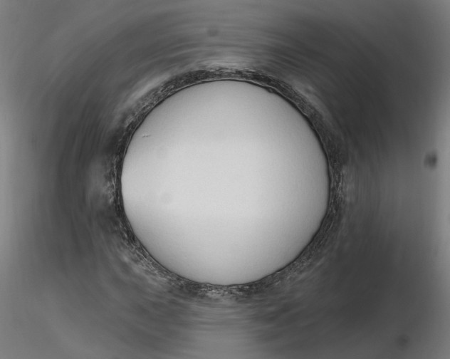 X0000116511015200912231229