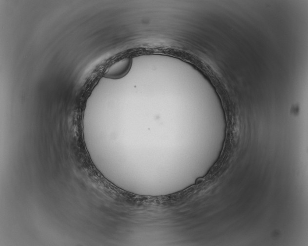 X0000116511016200912231229