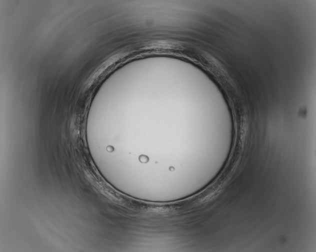 X0000116511017200912231229