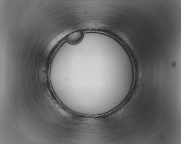 X0000116511018200912231229