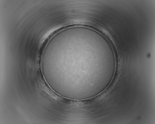 X0000116511019200912231229