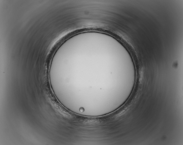 X0000116511021200912231229