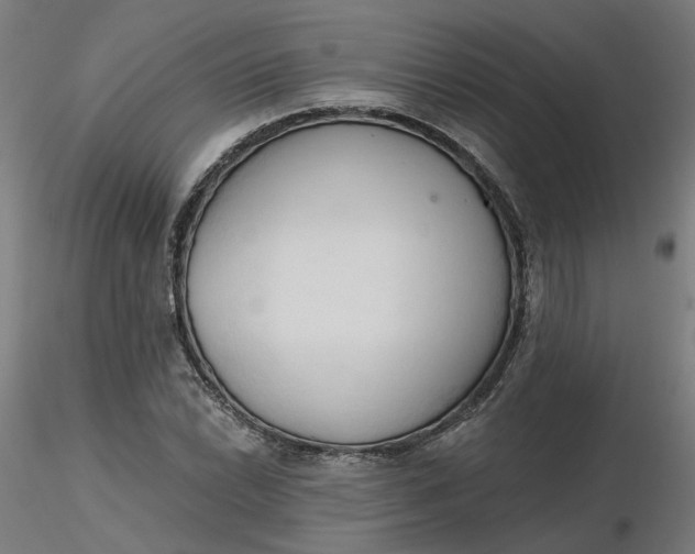 X0000116511022200912231229