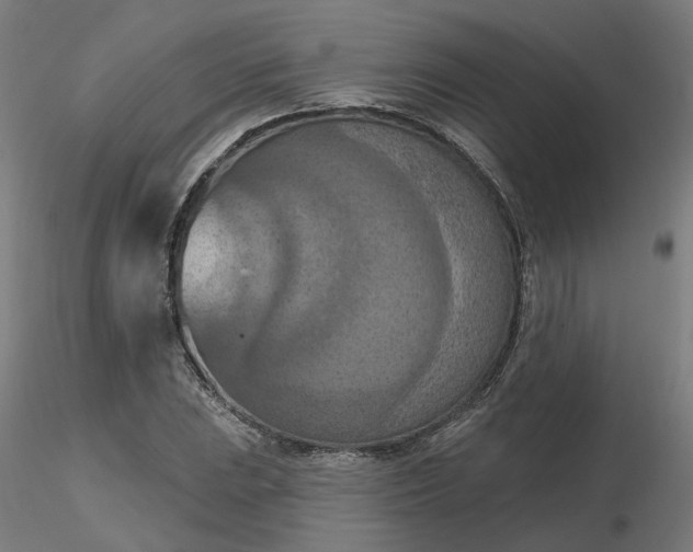 X0000116511023200912231229