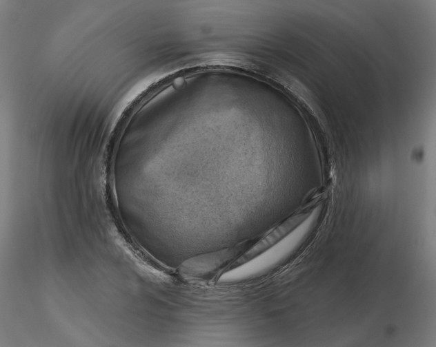 X0000116511024200912231229