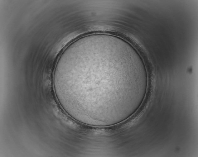 X0000116511025200912231229