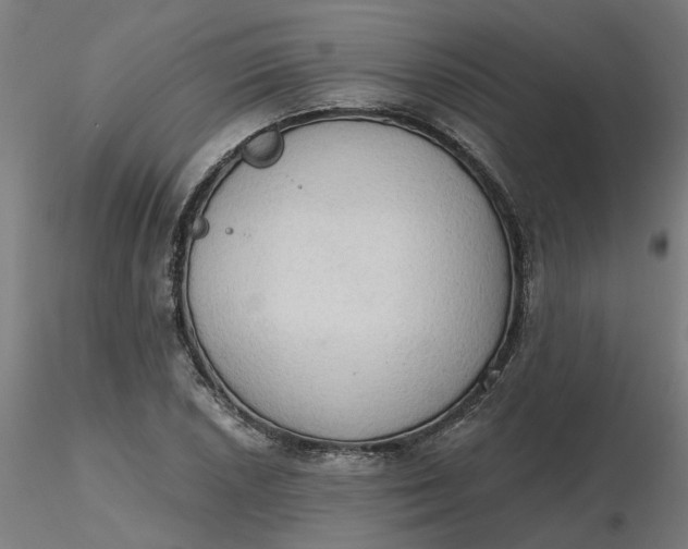 X0000116511026200912231229