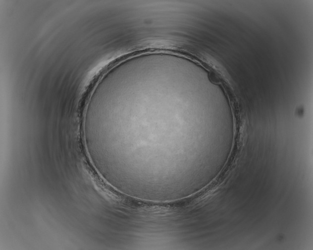 X0000116511027200912231229