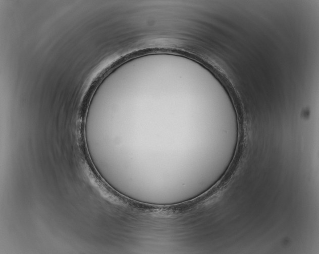 X0000116511029200912231229