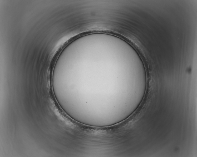 X0000116511030200912231229