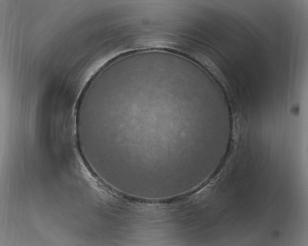 X0000116511031200912231229