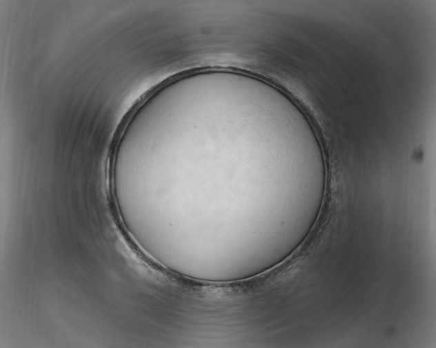 X0000116511032200912231229