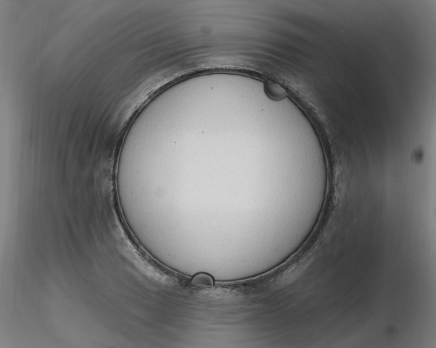 X0000116511033200912231229