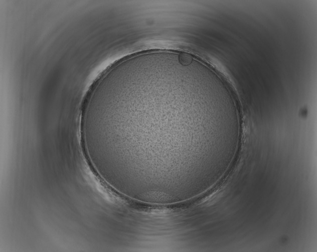 X0000116511035200912231229