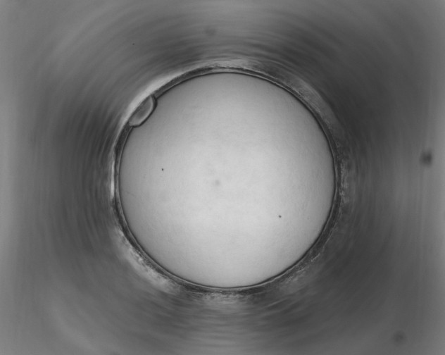 X0000116511036200912231229