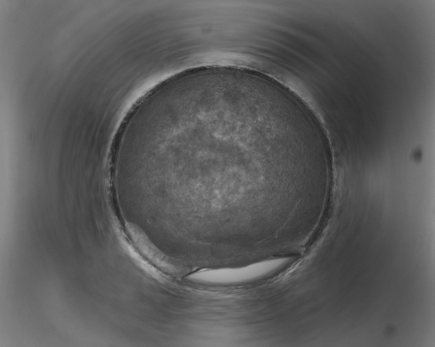 X0000116511037200912231229