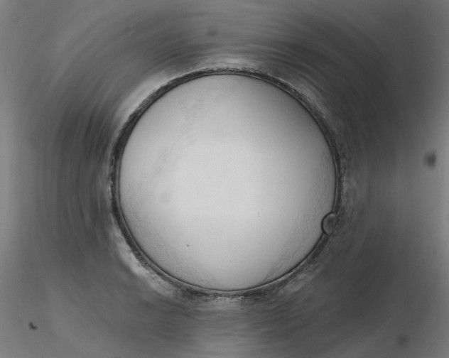 X0000116511038200912231229