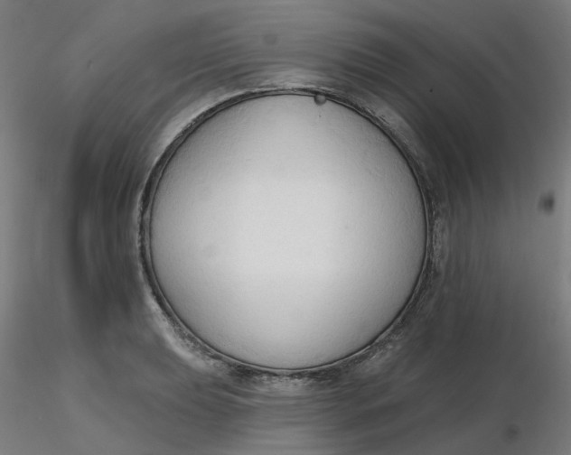 X0000116511039200912231229