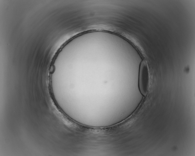 X0000116511040200912231229