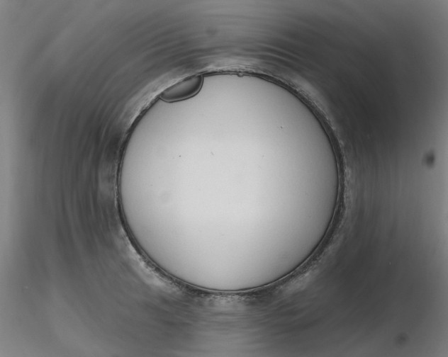 X0000116511041200912231229