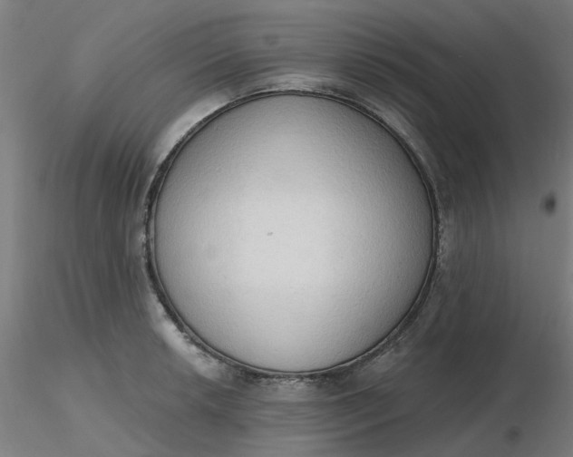 X0000116511042200912231229