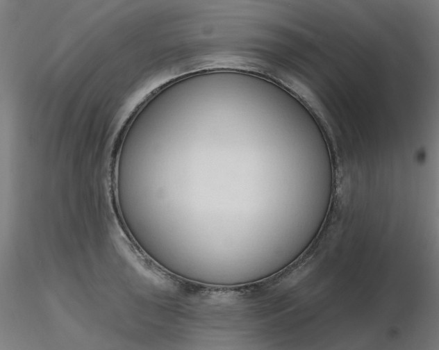 X0000116511043200912231229