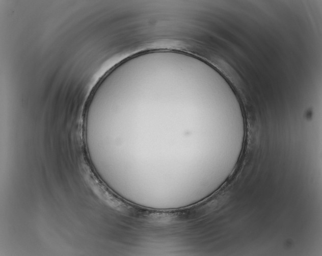 X0000116511044200912231229