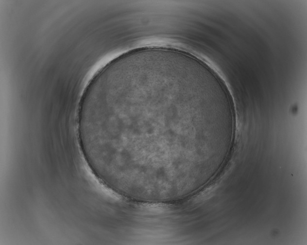 X0000116511045200912231229