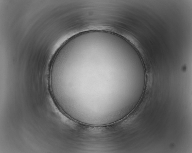 X0000116511046200912231229