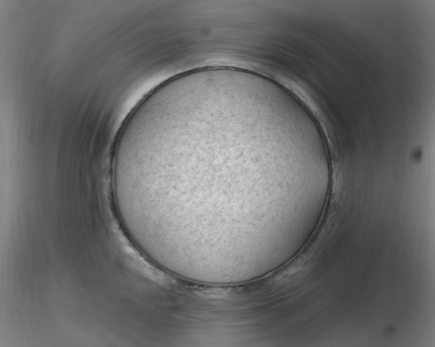 X0000116511048200912231229