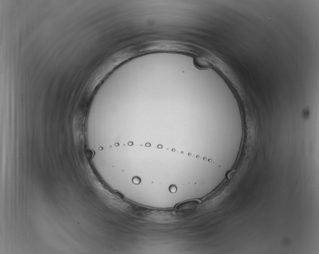 X0000116511049200912231229