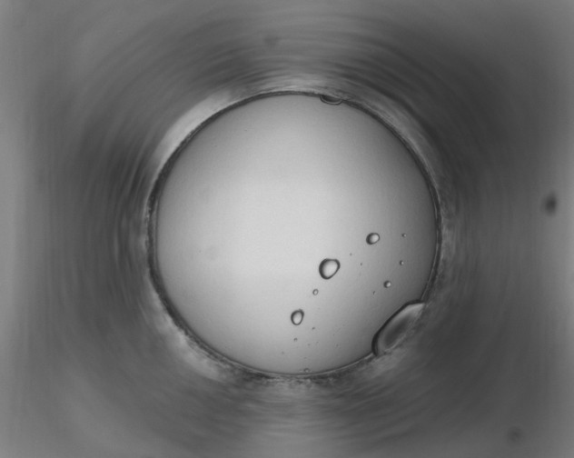 X0000116511050200912231229