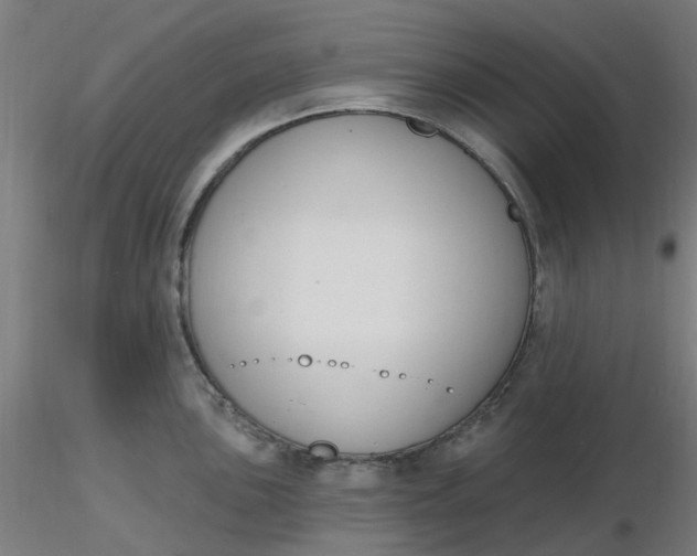 X0000116511051200912231229