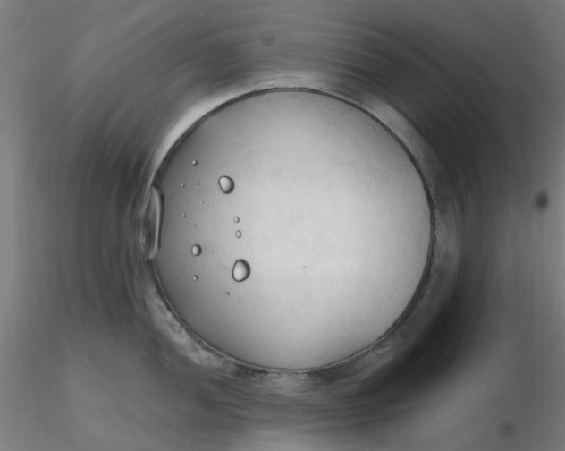 X0000116511052200912231229