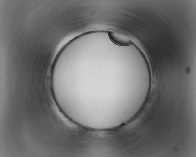 X0000116511053200912231229