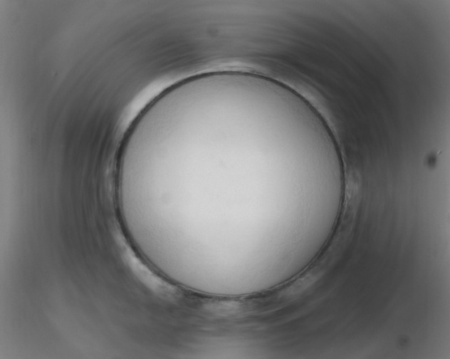 X0000116511054200912231229