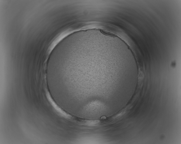 X0000116511055200912231229