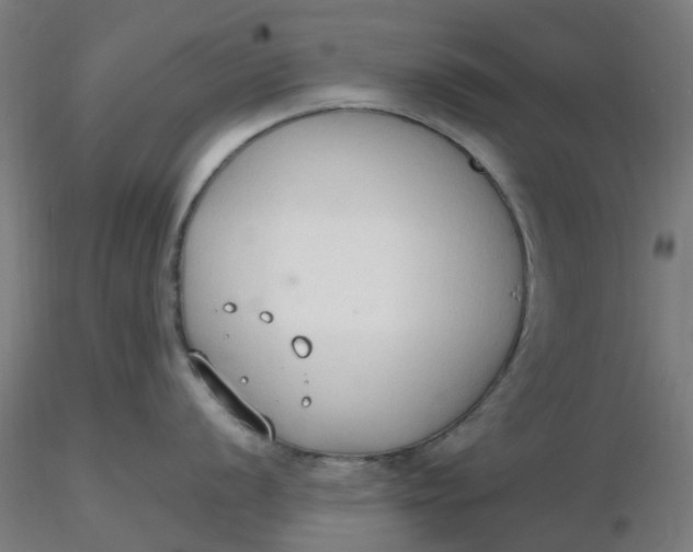 X0000116511056200912231229