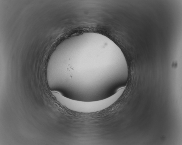 X0000116511057200912231229