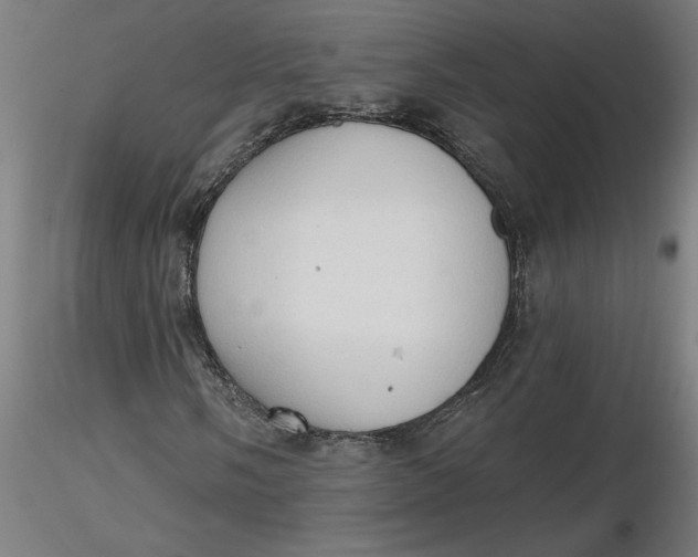 X0000116511058200912231229