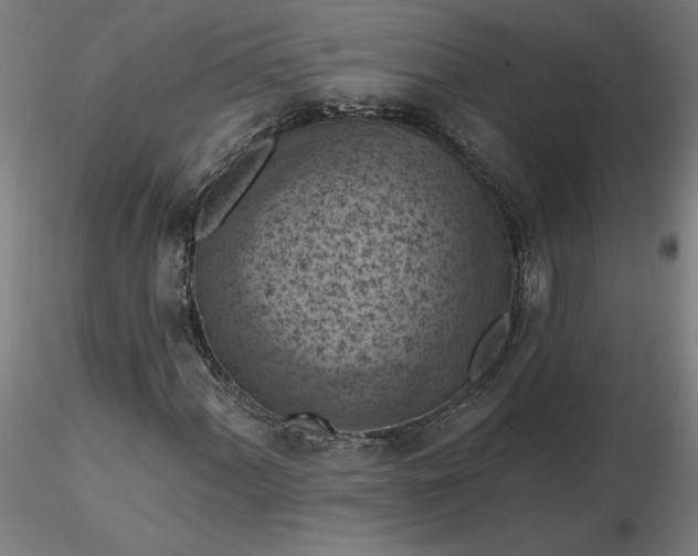 X0000116511060200912231229