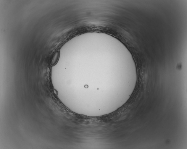 X0000116511061200912231229