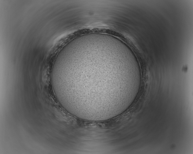 X0000116511063200912231228