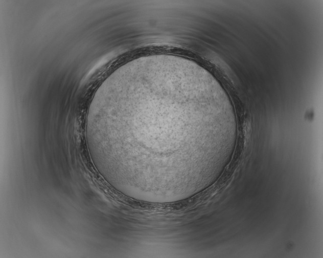 X0000116511064200912231228