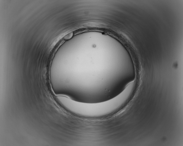 X0000116511065200912231228