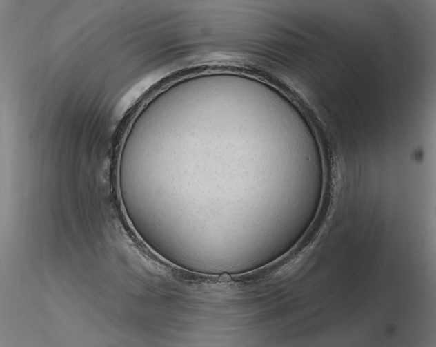 X0000116511066200912231228