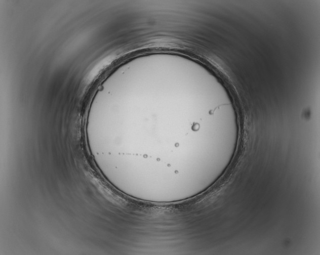 X0000116511067200912231228