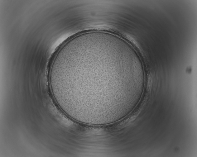 X0000116511071200912231228