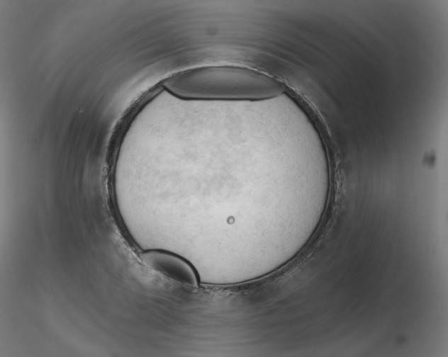 X0000116511072200912231228